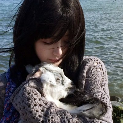 东京晚秋 海报