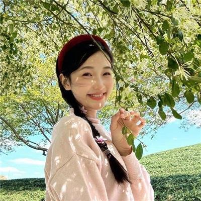 樱花抉择 海报