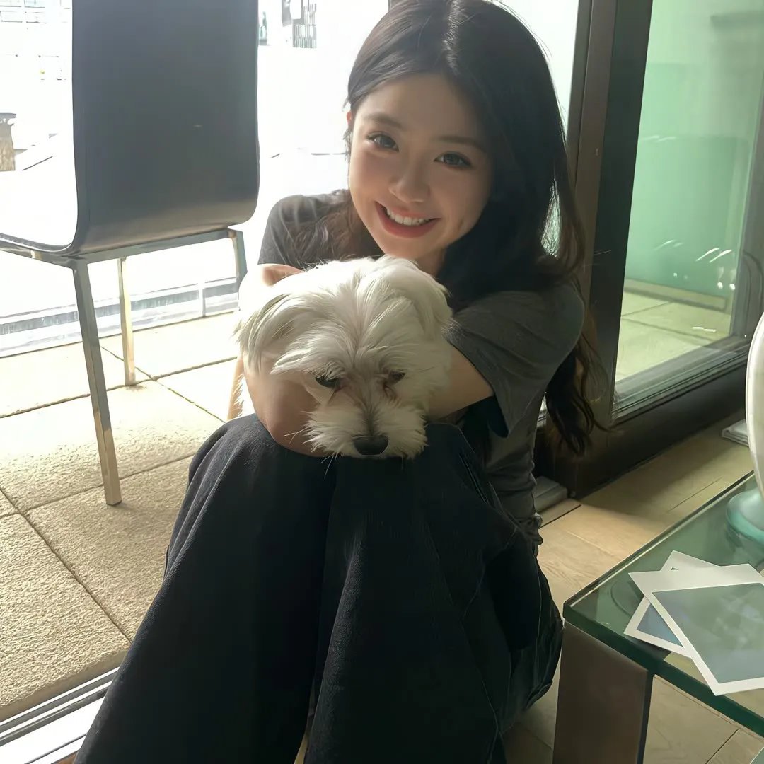 雪国谜案 海报
